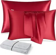 DISANGNI 100% Natural Mulberry Silk Pillow case for Hair and Skin with Hidden Zipper 22 Momme Both Sides Real Silk Pillow Case (2pc Queen Size 20" x30", Red)