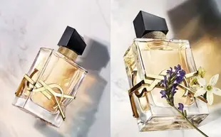 YSL 聖羅蘭 2019新香 自由之香 自由不羈 Libre 女性淡香精 30ml/50ml/90ml◐香水綁馬尾◐