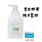 【PURE】草本抗菌洗手慕斯 350ML /瓶~溫和抗菌防疫必備