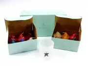 PartyLite Holiday Votive Gift Set Frosted Glass Holder Starfish 12 Candles