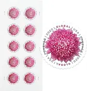 Global Chrysanthemum Sheet of 10 International Mail First Class Forever US Postage Stamps Holiday Celebration Flower (10 Stamps)