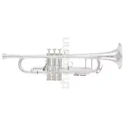 King 2055T Silver Flair Bb Trumpet