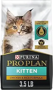 Purina Pro Plan High Protein Dry Kitten Food, Focus Chicken & Rice Formula - 3.5 lb. Bag