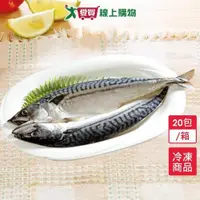 在飛比找蝦皮商城優惠-挪威鯖魚一夜干20包/箱(320~360G/包)【愛買冷凍】