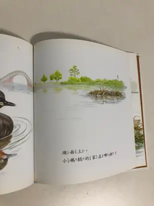 【二手書】台英：何華仁－鳥兒的家 世界親子圖畫書