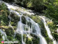 在飛比找雄獅旅遊優惠-高鐵自由行-阿里山森呼吸一日遊(苗栗出發)