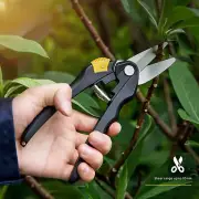 8 Inch Garden Pruner Shears Blade Pruning Scissor for Bonsai Fruit Trees Pruners