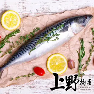 【上野物產】10片 宜蘭 薄鹽鯖魚(150g±10%/片 海鮮/鯖魚/烤魚/烤肉)