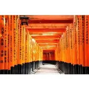 Save 20.00%! Small Group Cultural Day Tour of Kyoto and Nara