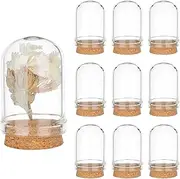 PH PandaHall 10pcs Cloche Bell Jar, Display Dome with Cork Base 8ml Mini Glass Bottles Dome Decorative Jars Display Case for Flower Storage Home Christmas Party Favor Decoration, 0.86x1.4inch