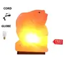 BEAUTIFUL FISH FULL-SET HIMALAYAN SALT CRYSTAL LAMP AIR PURIFY CORD & GLOBE