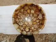15" Round Unique Agate Stone Washbasin Sink For Versatile Use In Kitchens Decors