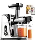 AMZCHEF Slow Masticating Juicer Extractor Professional Machine. GM3001 (White)