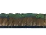 Golden Pheasant Feathers | Tippet Feather Trim - 1 Yard, Iridescent Green Bronze