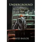 UNDERGROUND: THE CITY OF DAVID 2