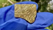 meteorite:Aletai: A Rare Iron IIIE-Anomalous.2.17 Grams [Gold Plated!!! ]
