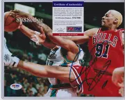 "DENNIS RODMAN" SIGNED AUTO PSA/DNA AUTHENTICATED 10x8 AUTOGRAPH "BULLS RED JSY"