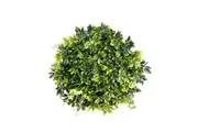 YES4HOMES Artificial Green Wall Plant Garden Panel Daffodil Smile Disc Art 50cm Grassy UV Resistant Frame