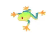 Keycraft - Stretchy Red Eyed Tree Frog