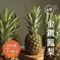 在飛比找Yahoo奇摩購物中心優惠-產地直送 高雄金鑽鳳梨20斤x1箱(7-10顆/箱)