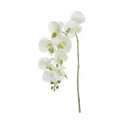 1 Pcs 38 Inch Artificial Orchid Stems Phalaenopsis Flowers White/Green