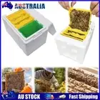 AU Foam Bee Box Queen Bee Breeding Box Bee Pollination Box for Bee Mating Rearin