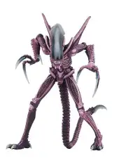 NECA - Aliens vs Predator (Arcade Appearance) - 7" Scale Action Figures - Raz...