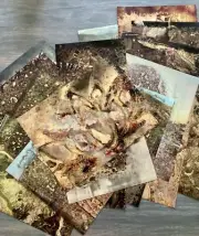 Set of 20 Altered Magazine Background Pages Mixed Media Collage Paper Set