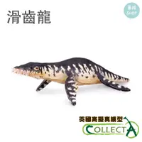 在飛比找蝦皮購物優惠-collectA 滑齒龍 英國高擬真模型