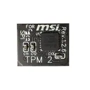 TPM 2.0 Encryption Security Module Remote Card 12 Pin SPI TPM2.0 Security Module for MSI Motherboard black