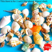 1 Set 130g Mixed Sea Beach Shell Conch Fish Tank Landscape Aquarium Ornament