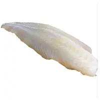 在飛比找蝦皮購物優惠-3BFR070*鯰魚片/多利魚/鯰魚/巴沙魚/魴魚魚排/鐵板