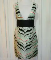 BNWT:GORGEOUS SASS&BIDE SILK DRESS Eur 42,US 6,AUS 10/12 "BY YOUR SIDE"