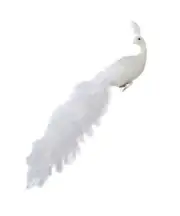 White Feather and Glitter Long Tail Phoenix