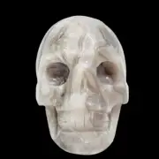 White Crazy Lace Agate Skull Healing Crystal Carving 811g