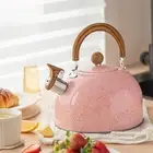 Whistling Kettle Kitchenware 3L Water Kettle for Induction Cooker Kitchen