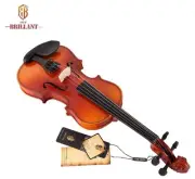 Brillant Student Violin Outfit 1/2 Size Comes with Hard Case, Bow and Rosin