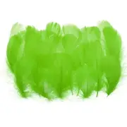 Colorful Feathers 3-5inch, 300pcs Goose Feathers Bulk, Lime Green