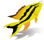 Heavy Duty Fish Windsock for Outdoor Use in Gardens and Patios