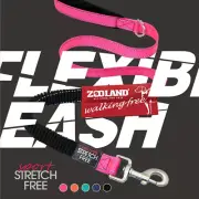 ZOOLAND Pet Dog Leash Leads With Shock Absorbing Bungee Comfortable 120cm ZOOLAN