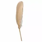 Goose Pointer Feathers 10 grams - Peach