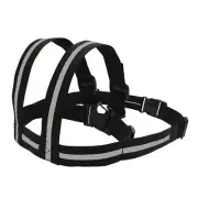 1* NEW Child Kid Motorcycle Bicycle Bike Safety Seat Belt Strap Harness Belts