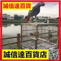 在飛比找樂天市場購物網優惠-鸚鵡外出籠不銹鋼外出鸚鵡鳥籠手提鳥籠中小型鸚鵡外出外帶便攜籠