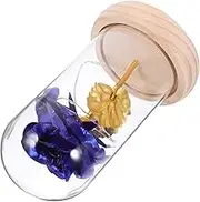 ULTECHNOVO Handmade Preserved Flower LED Lamp in Glass Dome Romantic Home Decor with Cozy Light Present for Family Friends Battery Not Included