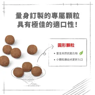 【ROYAL 法國皇家】中型幼犬專用飼料MP 10KG(狗乾糧 狗飼料)