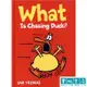 書林 The Giggle Gang: What Is Chasing Duck?【誰在追鴨子？】書林平民繪本 Jan Thomas 16.51 x 0.94 x 22.86 cm