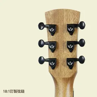 【免運】Benson BG-MA310C 面單板吉他 單板吉他 民謠吉他 台灣品牌 雲杉單板 桃花心木 41吋