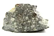 NWA 14456 H6 Chondrite meteorite 137 g, rare remnant chondrules fresh meteorite