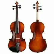 Reichel Violins 1/2 Student Violin Model Etude Outfit Hand Carved Solid wood