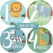 Baby Monthly Stickers | Zoo Animals Baby Milestone Stickers | Jungle Newborn Boy or Girl Stickers | Month Stickers for Baby Boy | Gender Neutral | Unisex Safari Newborn Monthly Milestones (Set of 24)